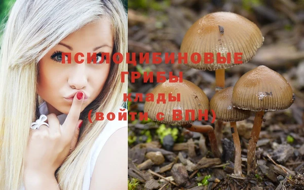 метамфетамин Алексин