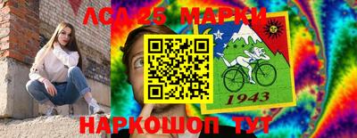 гашик Гатчина