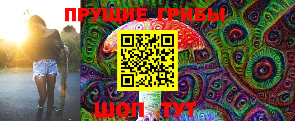 Кольчугино  Галлюциногенные грибы Magic Shrooms  Галлюциногенные грибы Psilocybine cubensis  Вход с VPN 