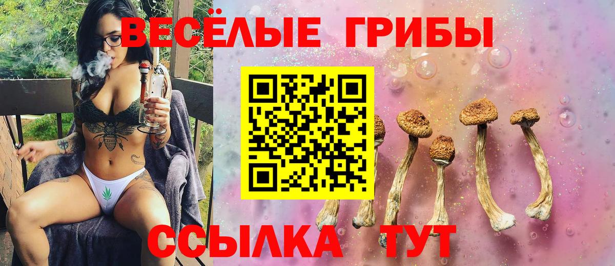 Галлюциногенные грибы GOLDEN TEACHER Кольчугино