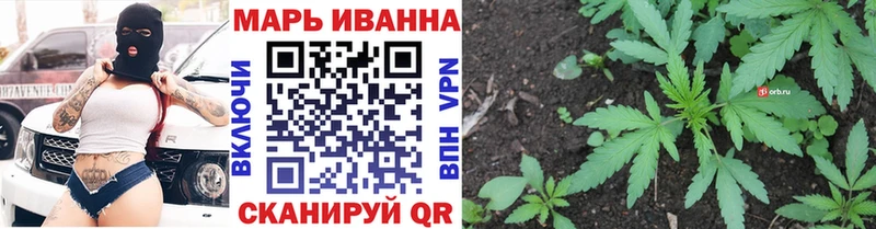 Бошки Шишки Amnesia  Кольчугино 